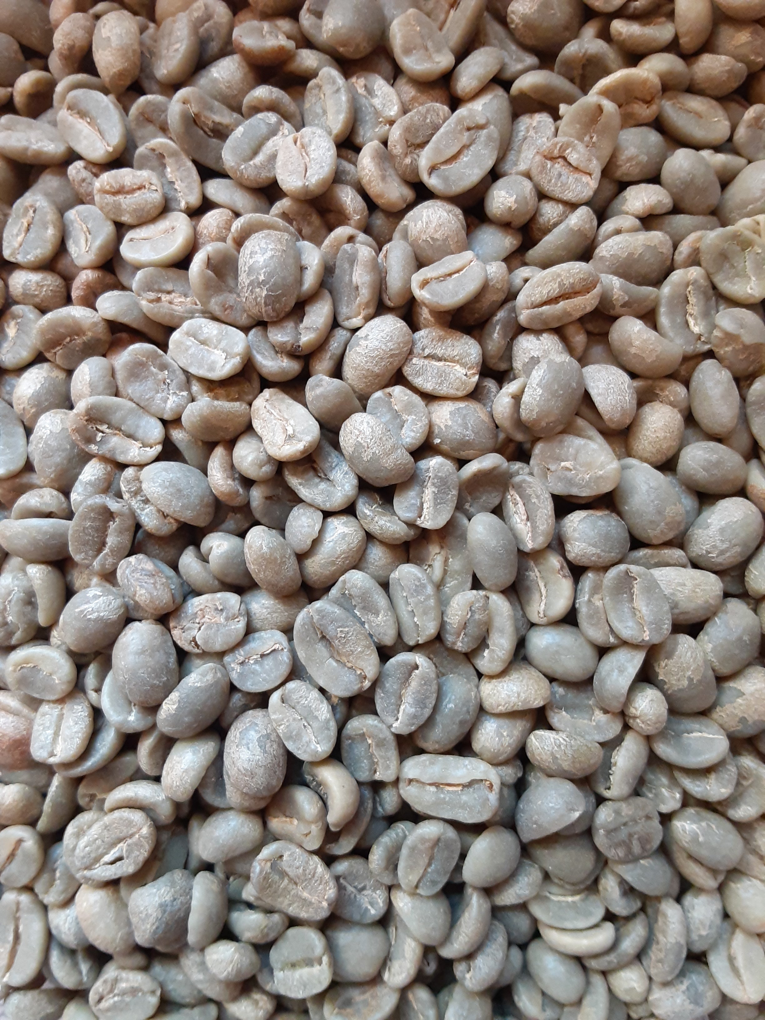 Guatemala Coffee (Medium Roast)
