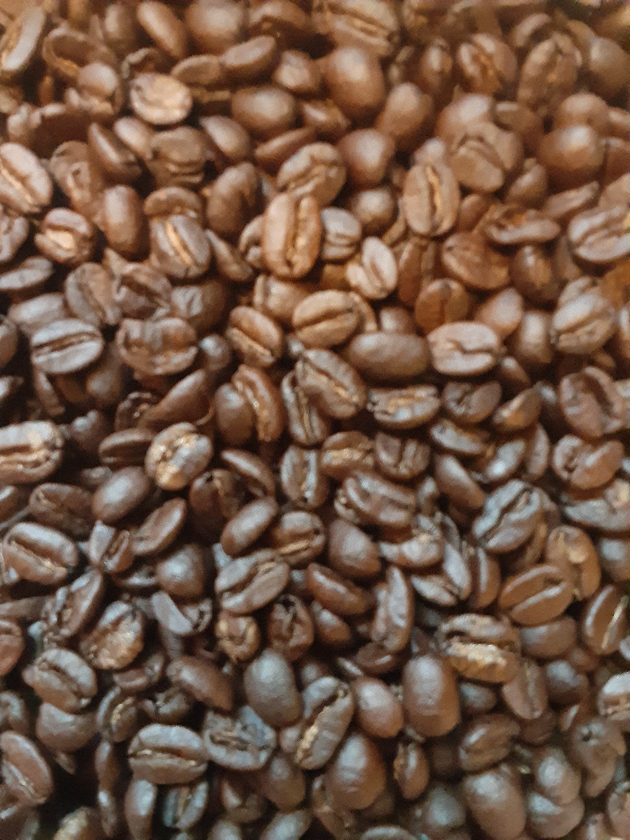 Kenya Coffee (Medium-dark Roast)