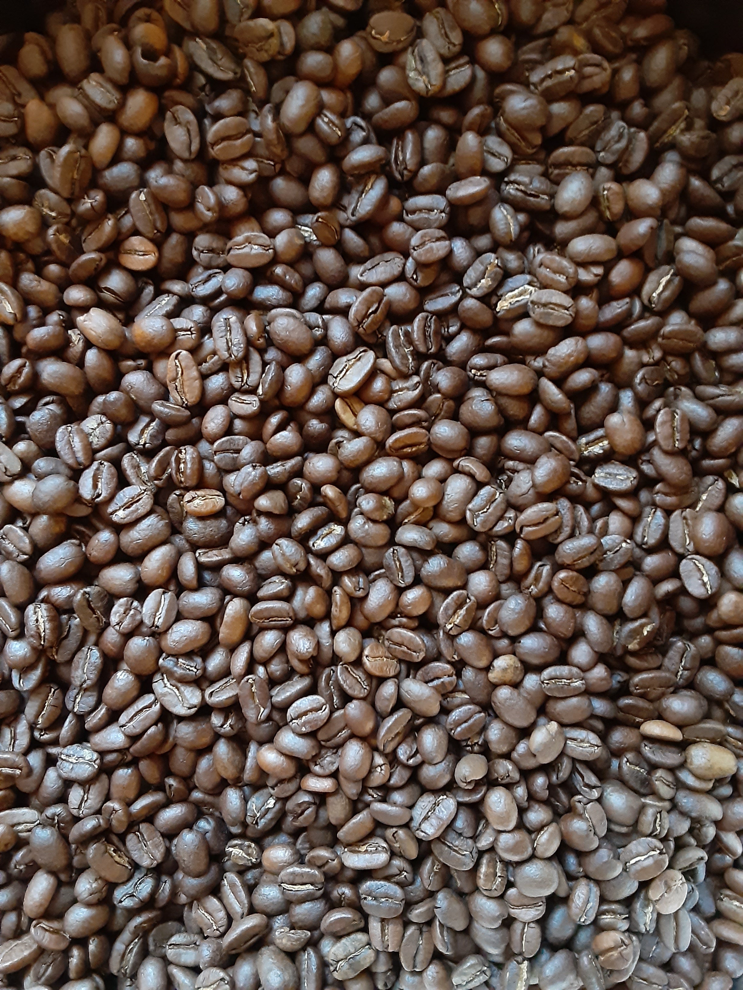 Costa-Rica Coffee (Medium-light Roast)