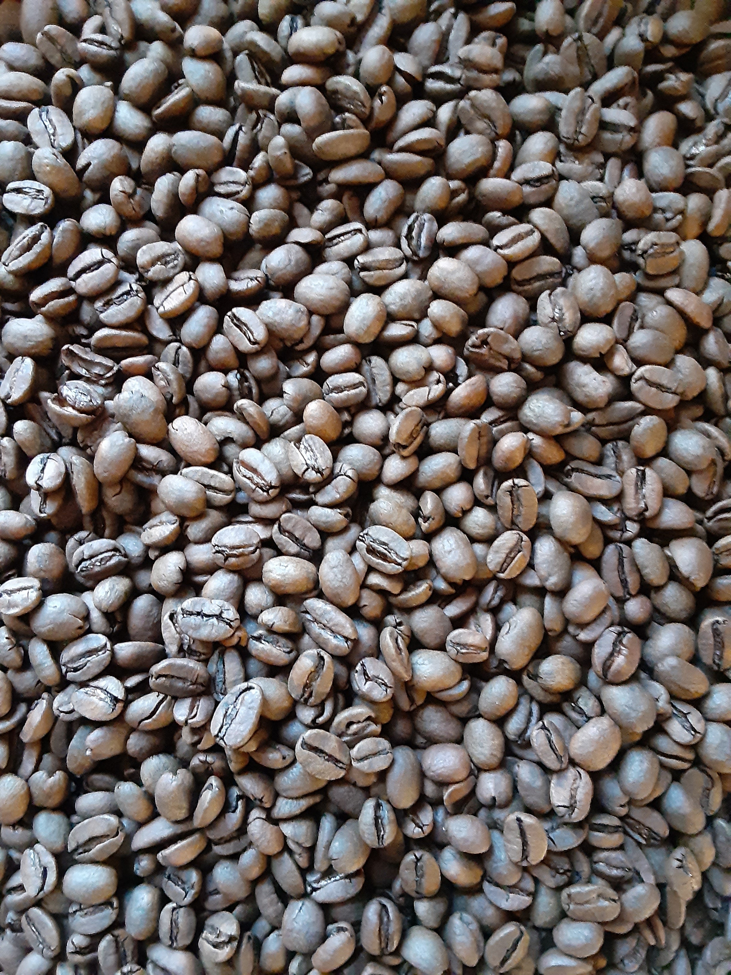 Honduras Decaffeinated Coffee (Medium-light Roast)