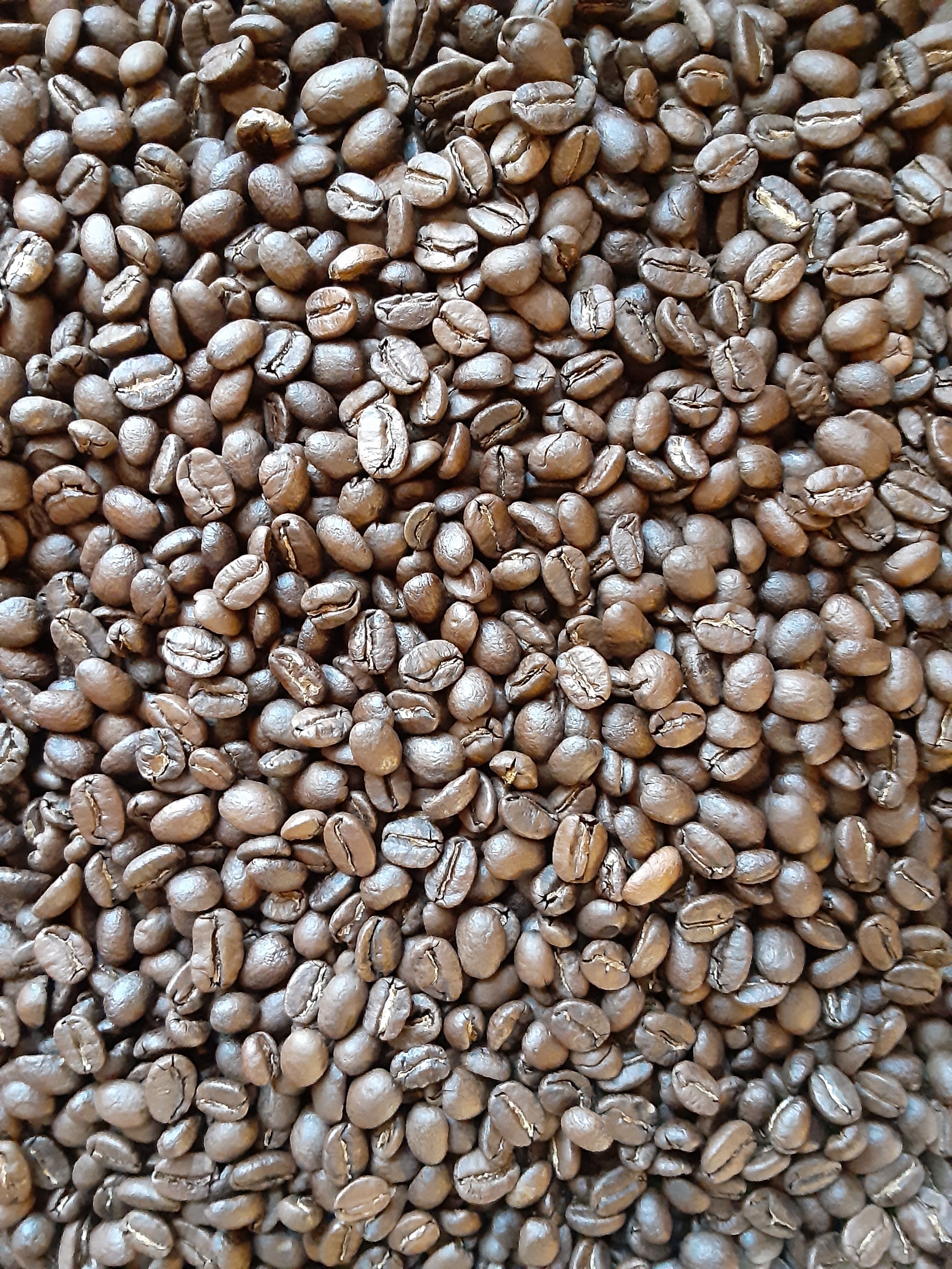 Guatemala Coffee (Medium Roast)