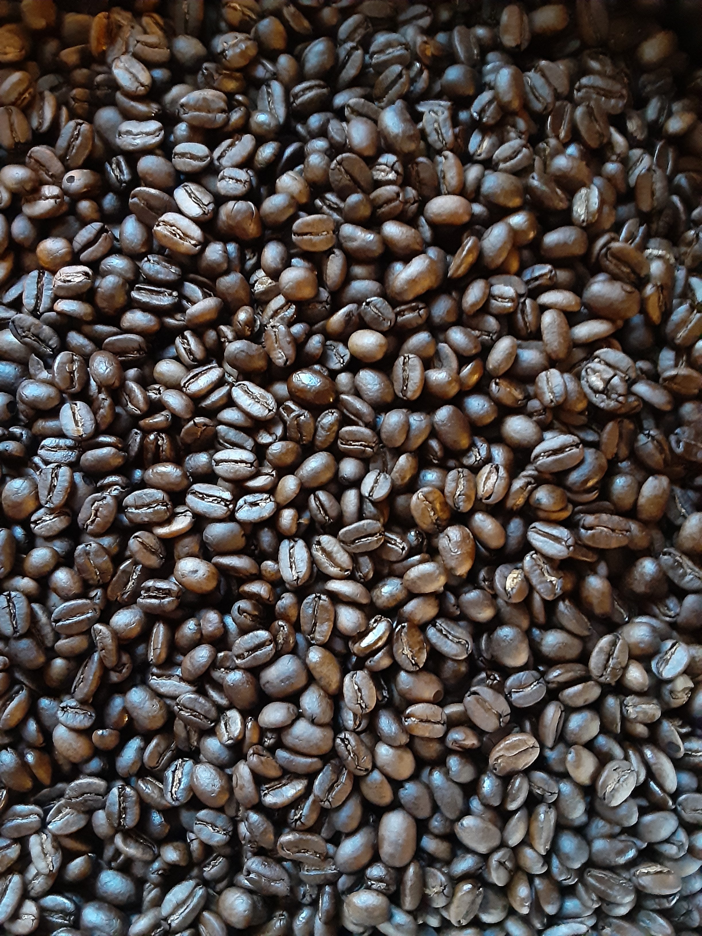 Java Coffee (Dark Roast)