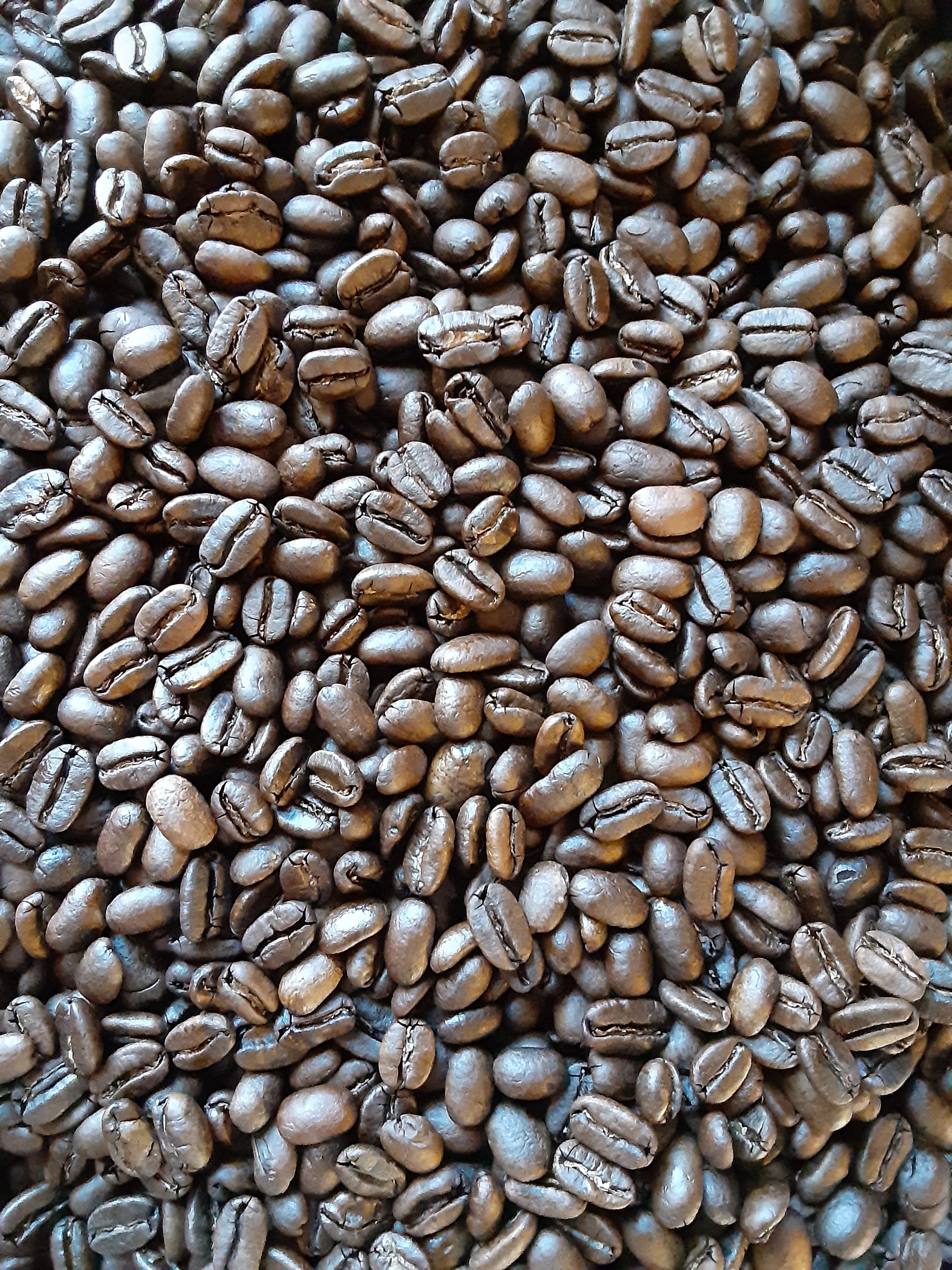Sumatra Coffee (Medium-dark Roast)