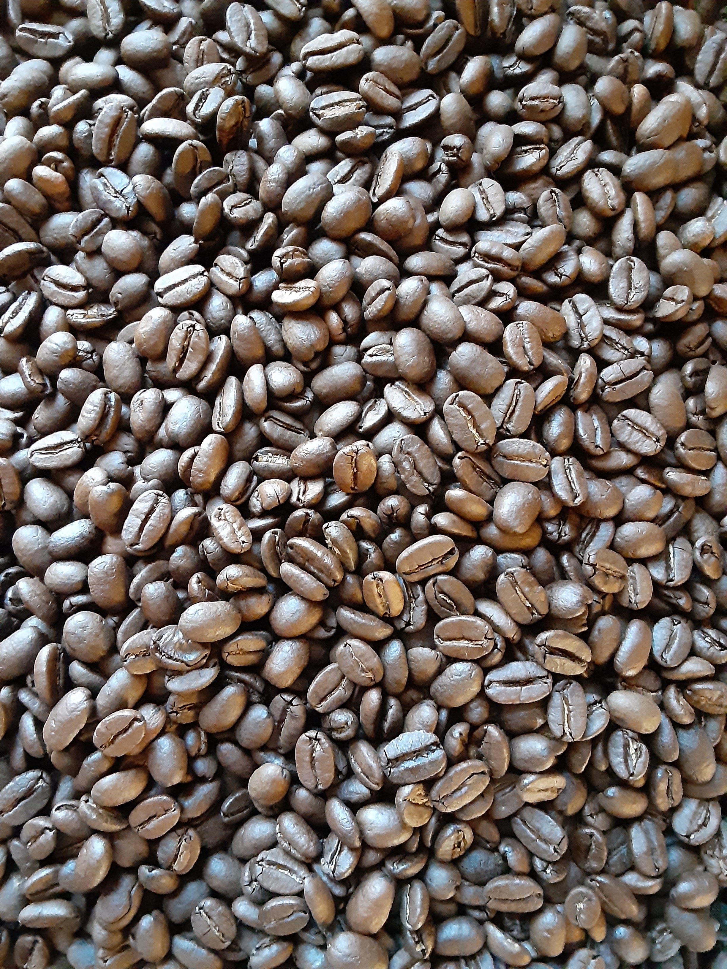 South American Coffee Custom-Blending