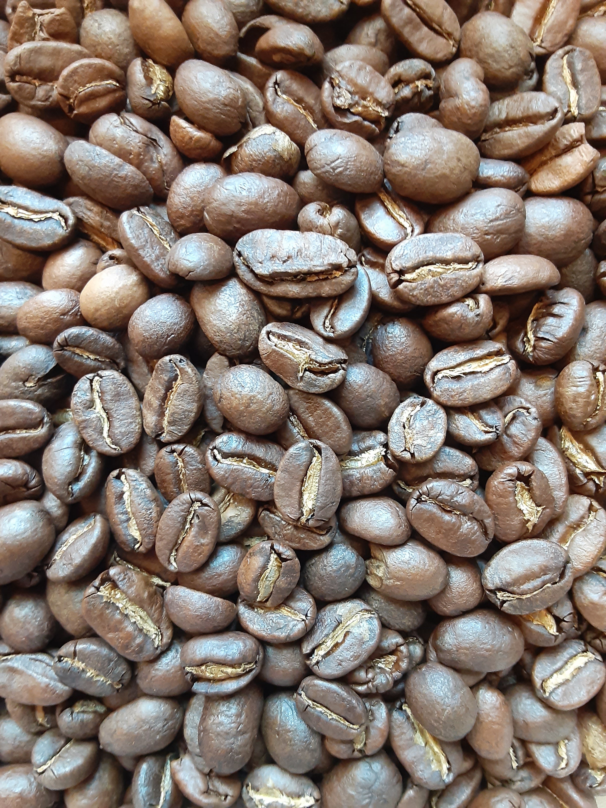Timor Coffee (Medium-light Roast)