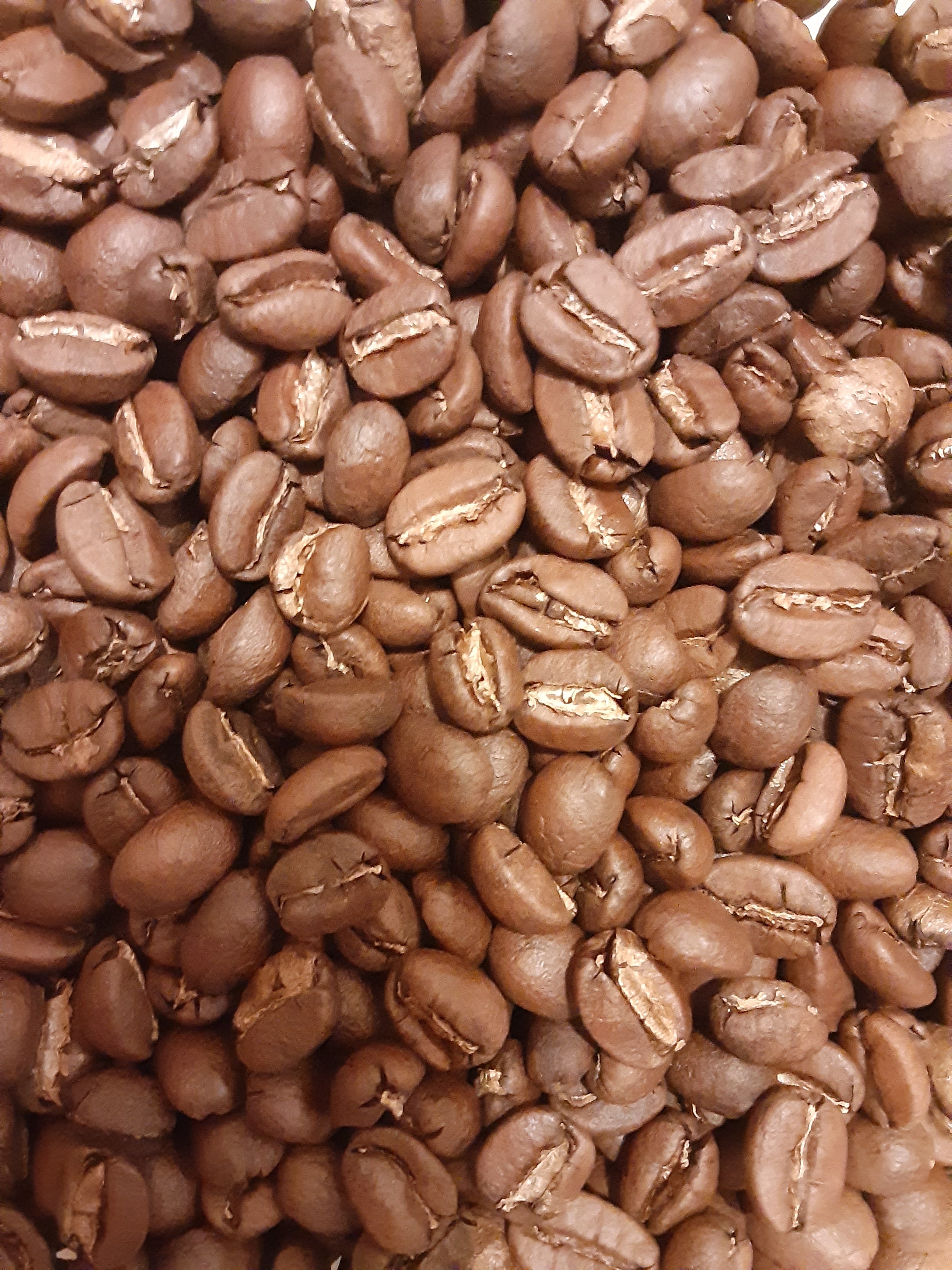 Bolivia Coffee (Medium-light Roast)