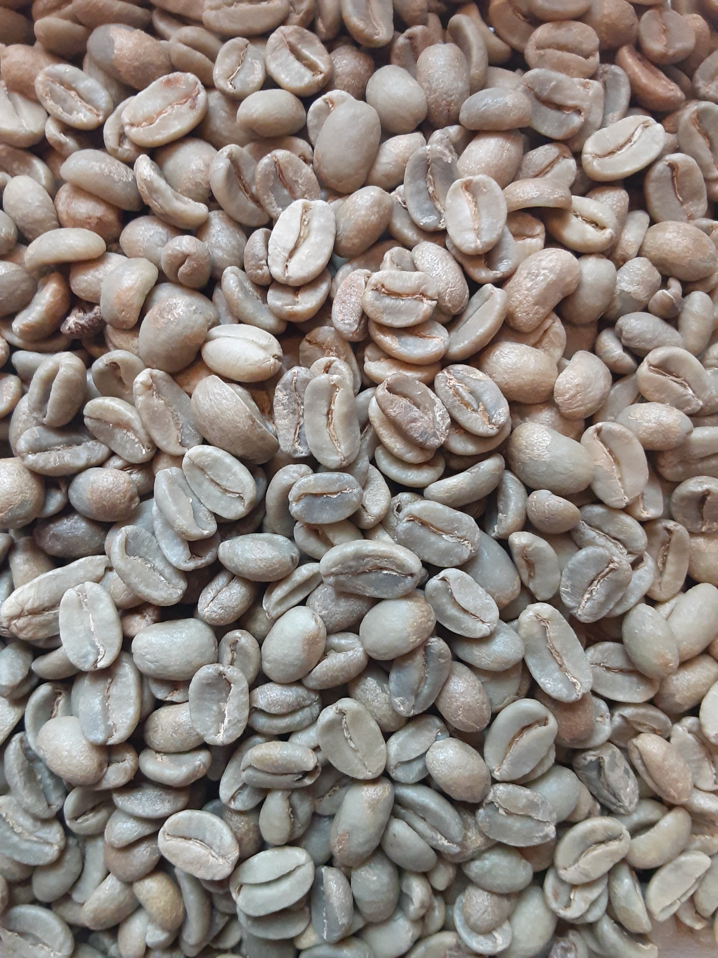 Papua New Guinea Coffee (Medium Roast)